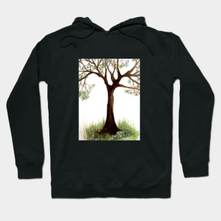 Money tree Hoodie